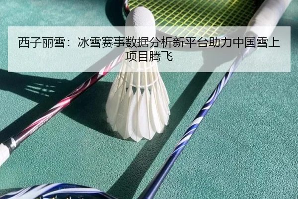 西子丽雪：冰雪赛事数据分析新平台助力中国雪上项目腾飞