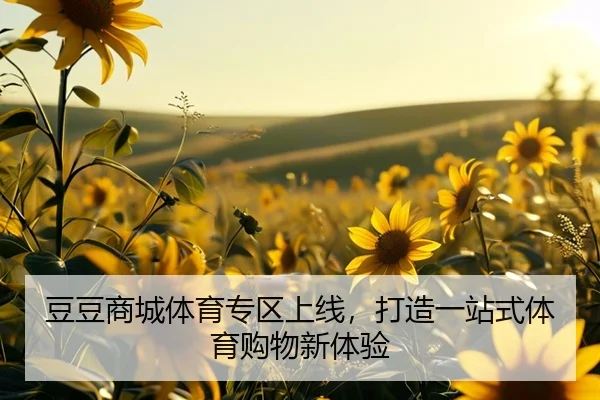 豆豆商城体育专区上线，打造一站式体育购物新体验